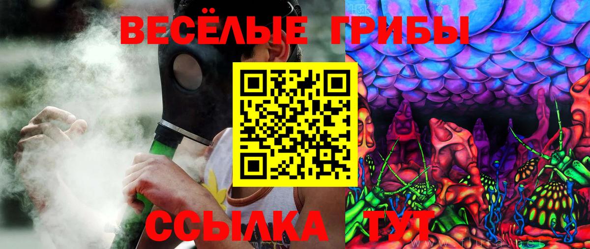 Великий Устюг  Галлюциногенные грибы Psilocybe  наркотики  Псилоцибиновые грибы Psilocybine cubensis  Вход с VPN 